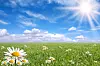 Anbud365: God sommer - med sommerønsker